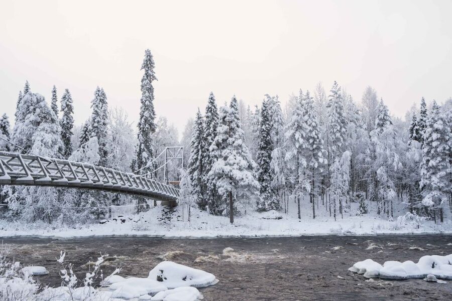 Rovaniemi: Nordic Forest Wilderness Adventure - What the small group adds