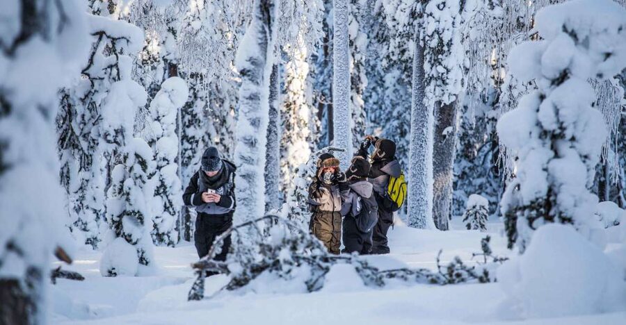 Rovaniemi: Nordic Forest Wilderness Adventure - Warm clothing, boots, snacks, and edited photos
