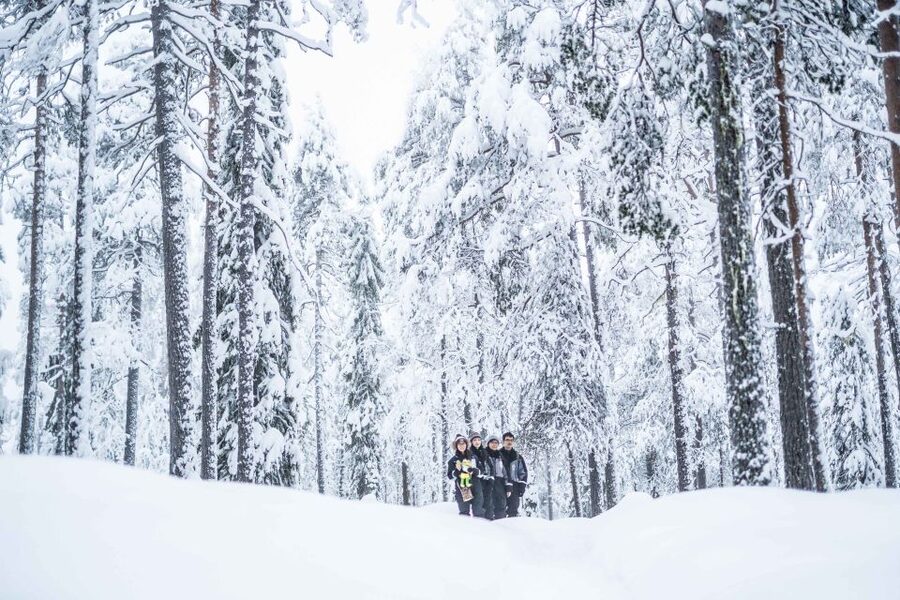Rovaniemi: Nordic Forest Wilderness Adventure - Practical details before you book