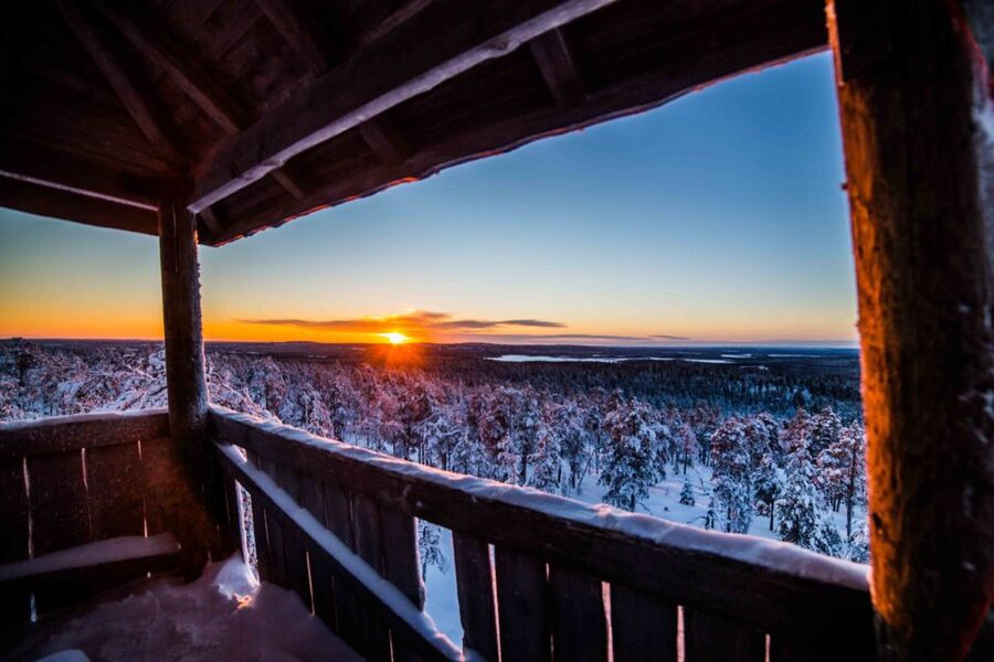 Rovaniemi: Nordic Forest Wilderness Adventure - Walking through snow-covered Nordic forest