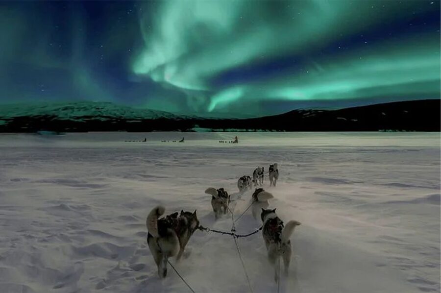 Rovaniemi: Northern Lights and Husky Sleigh Ride - A husky ride first, an aurora search second