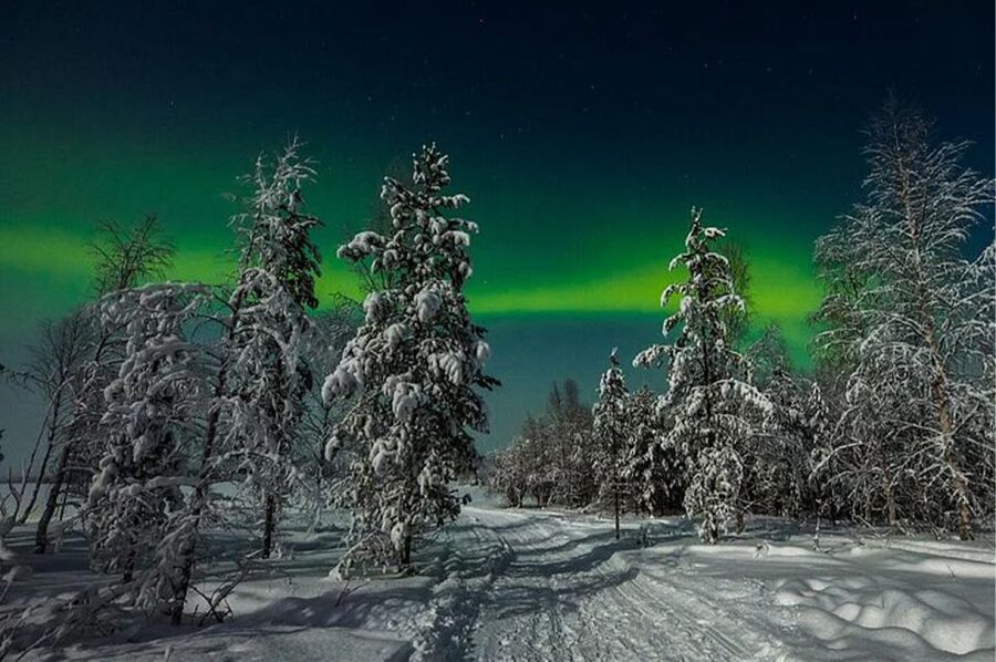 Rovaniemi: Northern Lights and Husky Sleigh Ride - Gliding across snow and frozen water