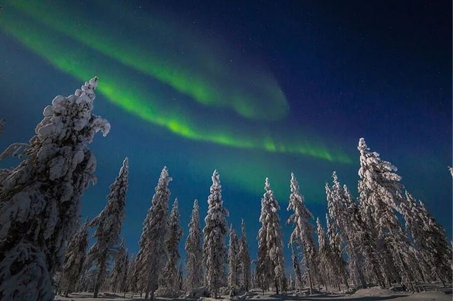 Rovaniemi: Northern Lights and Husky Sleigh Ride - Looking for the Northern Lights after the ride