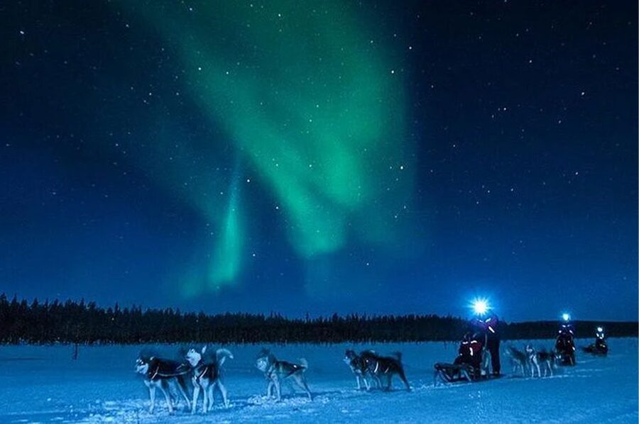 Rovaniemi: Northern Lights and Husky Sleigh Ride - Who will enjoy this evening most?