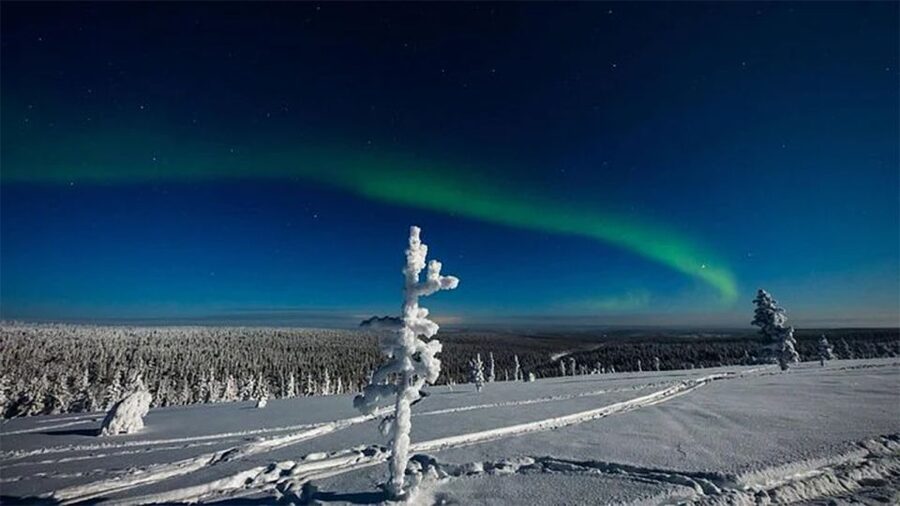 Rovaniemi: Northern Lights and Husky Sleigh Ride - Timing, pickup, and practical details