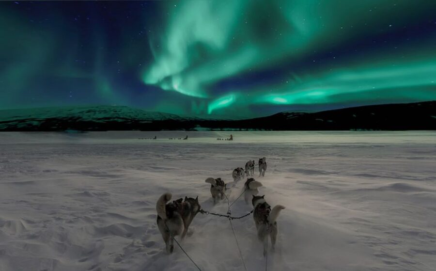 Rovaniemi: Northern Lights and Husky Sleigh Ride - Getting to the farm and meeting the dogs