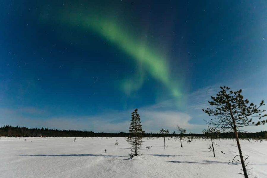 Rovaniemi: Northern Lights Family-Friendly Snowmobile Safari - Riding through the snowy forest