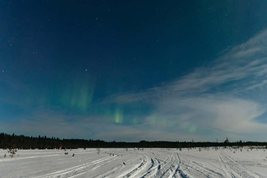 Rovaniemi: Northern Lights Family-Friendly Snowmobile Safari - Price, group size, and what is included