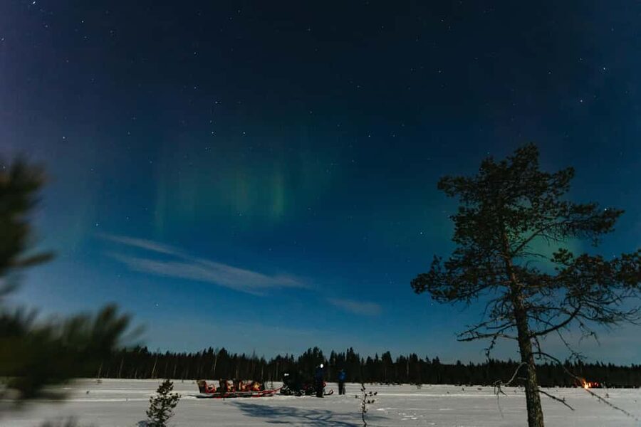 Rovaniemi: Northern Lights Family-Friendly Snowmobile Safari - Who will enjoy this most