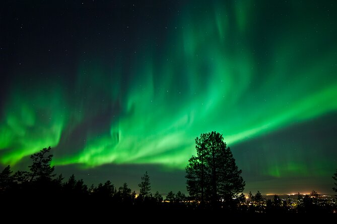Rovaniemi: Northern Lights Group Tour - Guaranteed View - Waiting beside a fire in Arctic cold