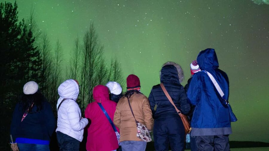 Rovaniemi: Northern Lights Guided Tour with Pro Camera - Is $147 a fair price?