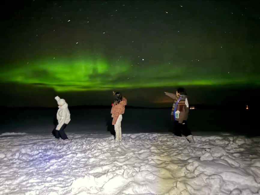 Rovaniemi:Northern Lights Hunt in Lapland Wilderness - Key points to know before you book