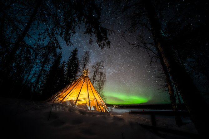 Rovaniemi Northern Lights Photography Small-Group Tour - How the small group affects the night
