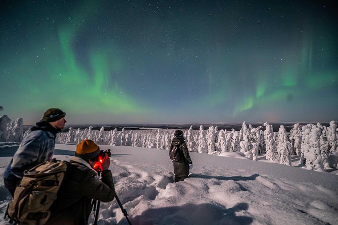 Rovaniemi Northern Lights Photography Small-Group Tour - Who should book this Rovaniemi aurora tour?