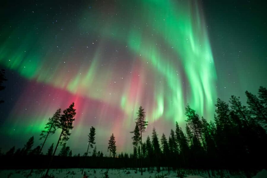 Rovaniemi: Northern Lights Photography Tour & BBQ - Who will enjoy this most?