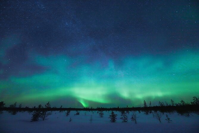 Rovaniemi: Northern Lights Pro Guaranteed - Unlimited Distance - Is $240.65 a fair price?