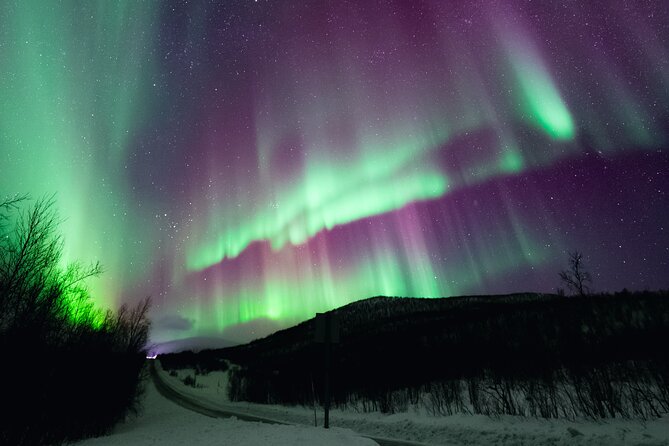Rovaniemi: Northern Lights Pro Guaranteed - Unlimited (PRIVATE) - Why the unlimited driving matters