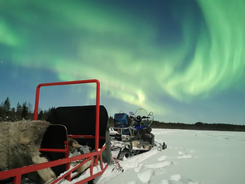 Rovaniemi: Northern Lights Sledge Ride - How to prepare for the cold