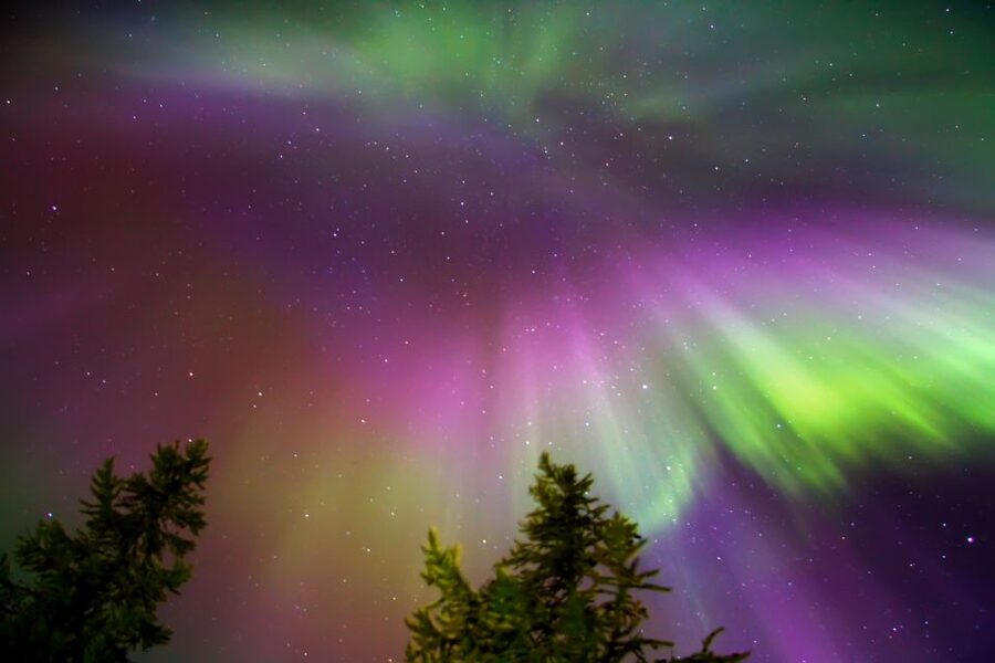 Rovaniemi: Northern Lights Sledge Ride - Should you book the sledge ride?