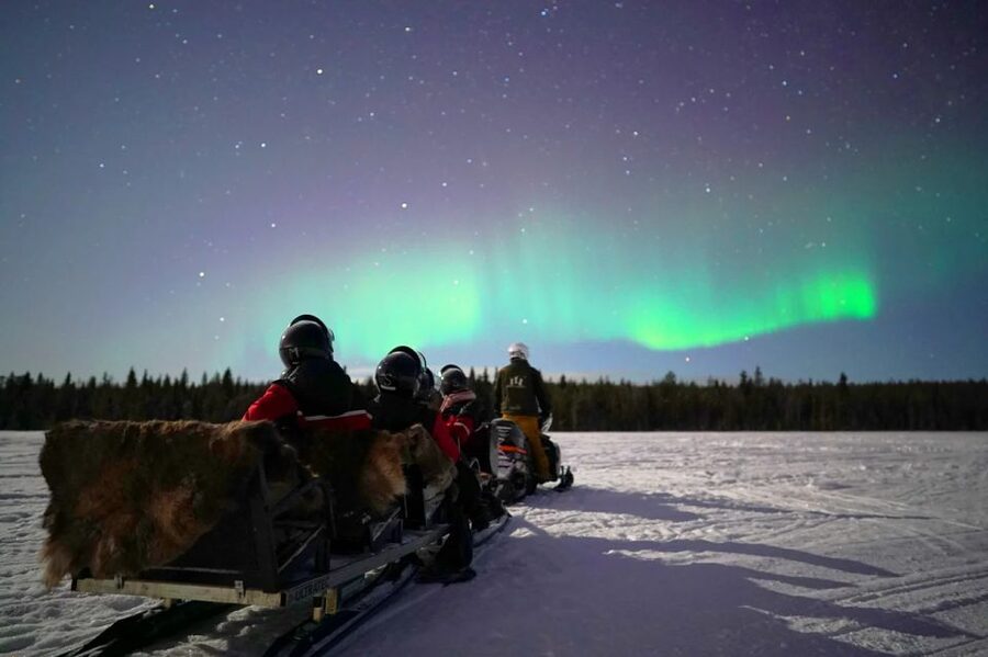 Rovaniemi: Northern Lights Sleigh Ride - Who will enjoy this most?