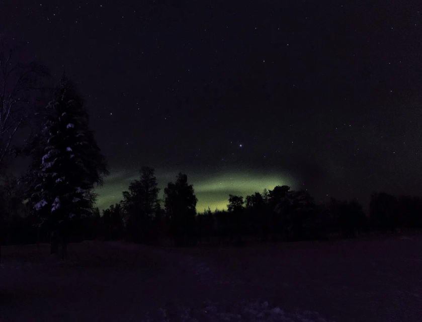 Rovaniemi: Northern Lights Snowmobile Safari with Campfire - What the four-hour evening looks like