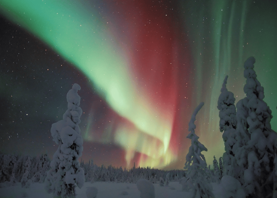 Rovaniemi: Northern Lights Snowmobile Safari with Campfire - Following the guide through the Arctic dark