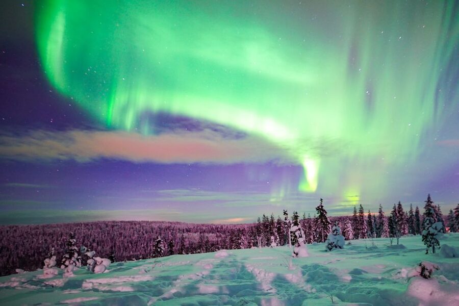Rovaniemi: Northern Lights Snowmobile Tour - Leaving Rovaniemi for the dark forest