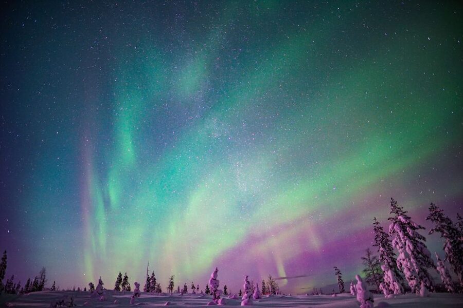 Rovaniemi: Northern Lights Snowmobile Tour - The Taiga trail and the first stops