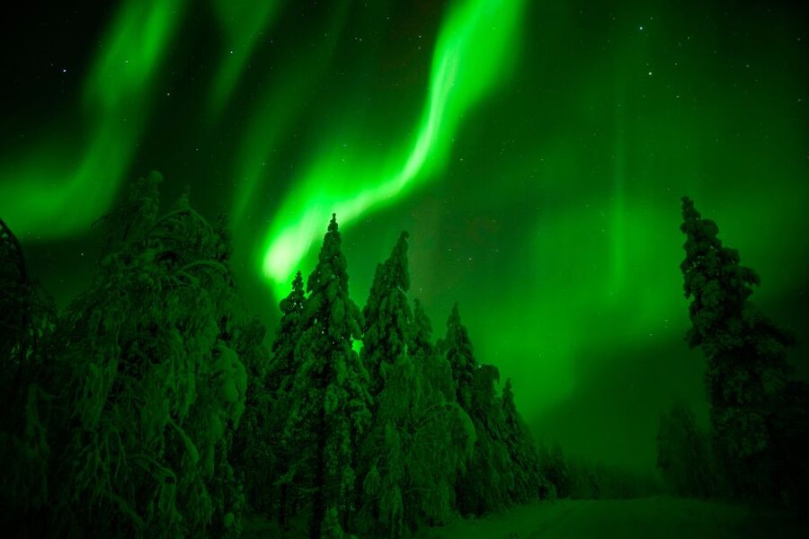 Rovaniemi: Northern Lights Snowmobile Tour - The campfire break, sausage, and hot drinks