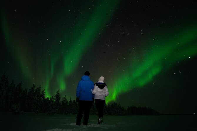 Rovaniemi: Northern Lights Tour - Key points to know before booking