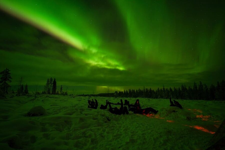 Rovaniemi: Northern Lights Tour at the Campfire - A forest campfire instead of a crowded Aurora chase