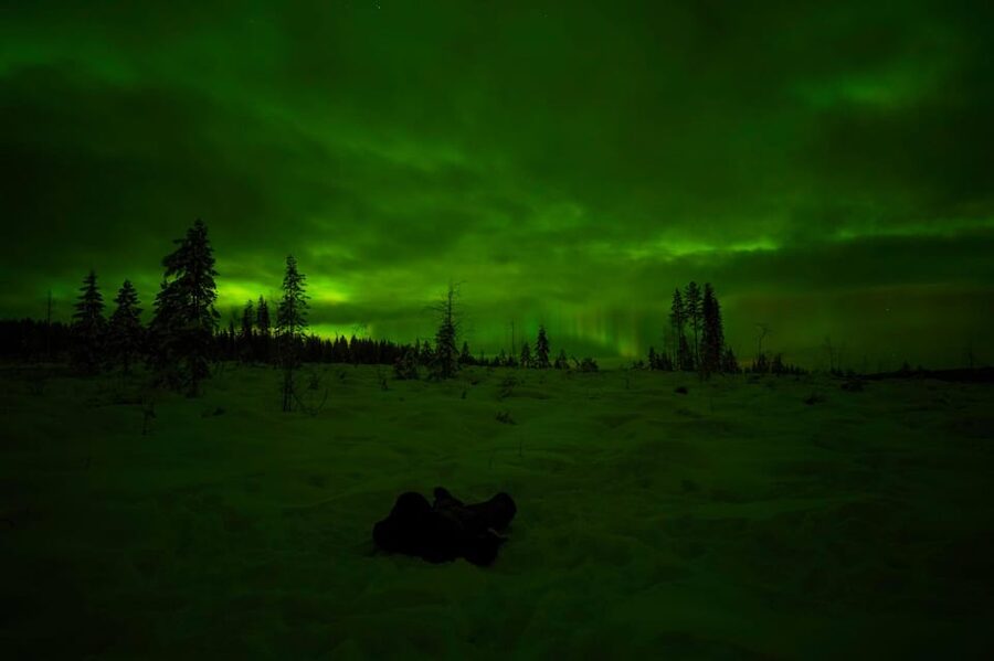 Rovaniemi: Northern Lights Tour at the Campfire - From Rovaniemi to the fire, 35 minutes each way
