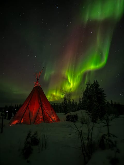 Rovaniemi: Northern Lights Tour at the Campfire - Language choices need careful checking