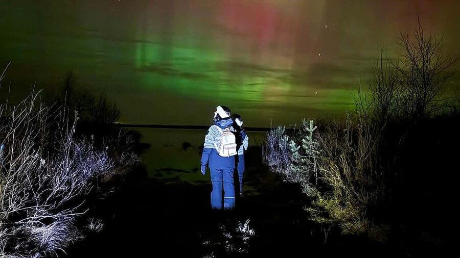 Rovaniemi: Northern Lights Tour with BBQ - Key points at a glance
