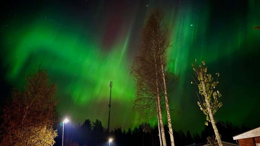Rovaniemi: Northern Lights Tour with BBQ - Is $85 a fair price?