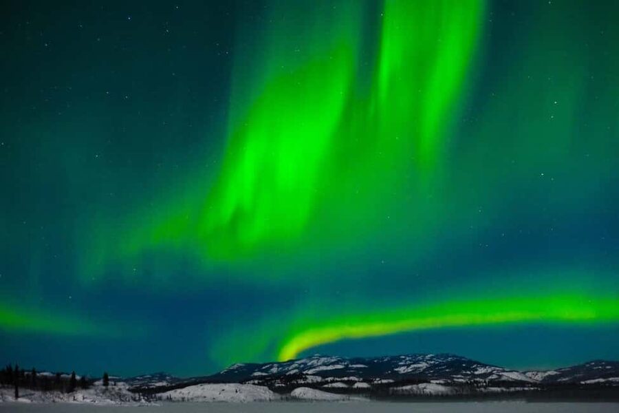 Rovaniemi: Northern Lights Tour with BBQ - Should you book the Rovaniemi aurora barbecue?