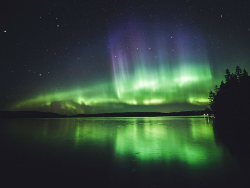 Rovaniemi: Northern Lights Tour with Guaranteed Sightings - Who should book this tour?