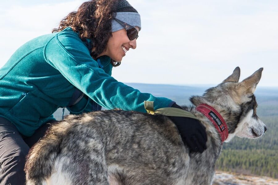 Rovaniemi: One Hour Husky Experience - The drive from central Rovaniemi to the farm