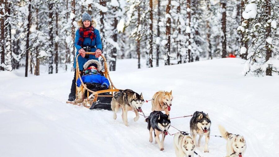 Rovaniemi: One Hour Husky Experience - The heated hut, hot juice, and husky talk