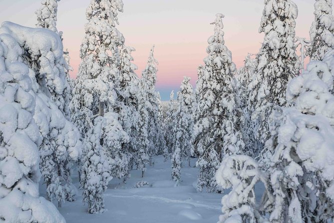 Rovaniemi photography tour - Who will enjoy this outing most?