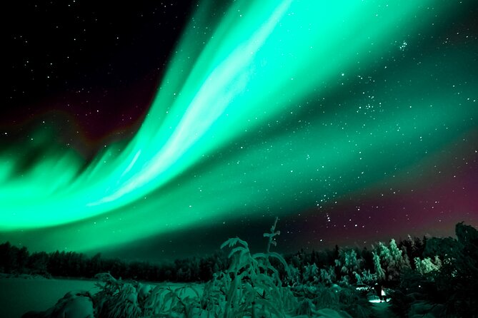 Rovaniemi: Private Aurora Tour with Guaranteed Sightings - Why this Aurora tour takes the search seriously