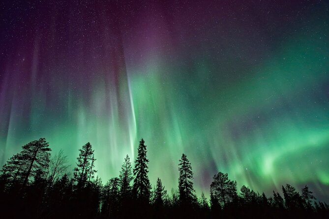Rovaniemi: Private Aurora Tour with Guaranteed Sightings - What the private bus changes