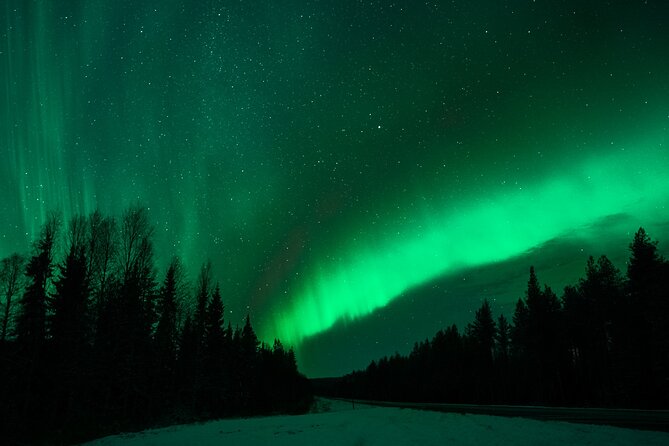 Rovaniemi: Private Aurora Tour with Guaranteed Sightings - A guide who keeps looking