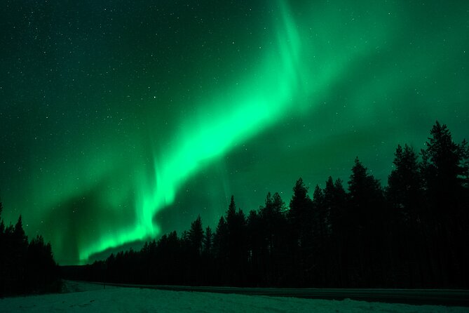Rovaniemi: Private Aurora Tour with Guaranteed Sightings - The private group makes a real difference