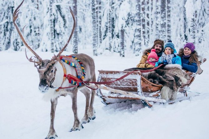 Rovaniemi Private Transfer from Rovaniemi city centre to Rovaniemi airport - Price, group size, and the value question