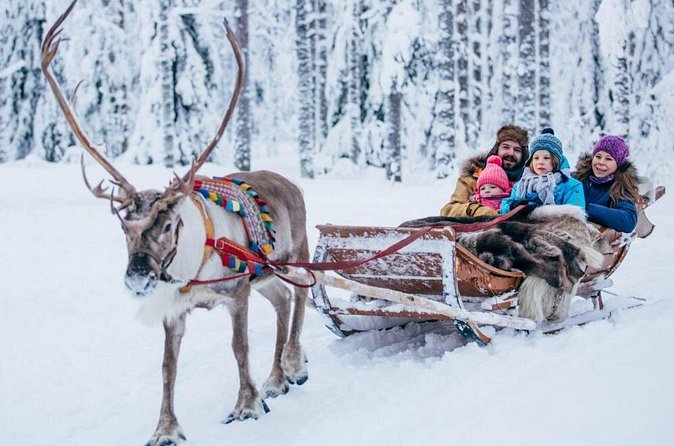 Rovaniemi Private Transfer from Rovaniemi city centre to Rovaniemi airport - Booking details that can prevent trouble