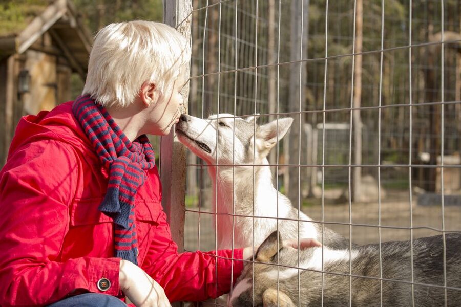 Rovaniemi: Quad Bike Safari, Reindeer & Husky Farm Visit - Meeting reindeer and learning how farms work
