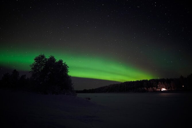 Rovaniemi – Real Northern Lights Hunting Experience (Small Group) - Searching through snowy Lapland