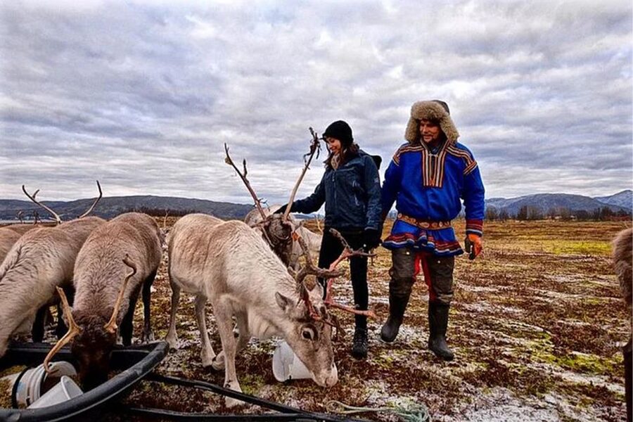 Rovaniemi: Reindeer Farm Visit in the Summer - Finnish snacks, hot drinks, and the meal question