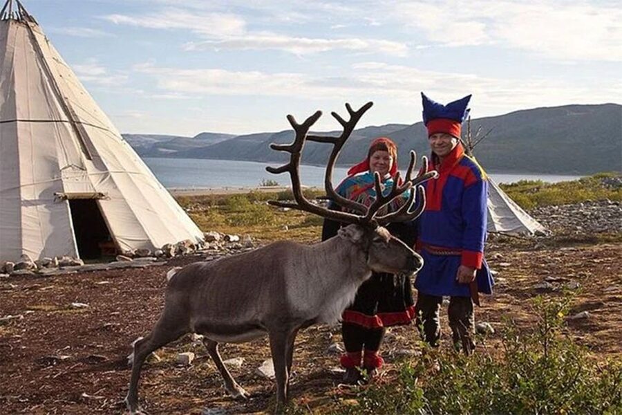 Rovaniemi: Reindeer Farm Visit in the Summer - Should you book the Rovaniemi reindeer farm visit?